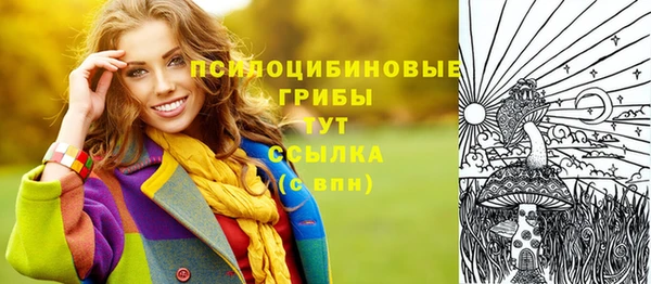 прущая мука Абаза