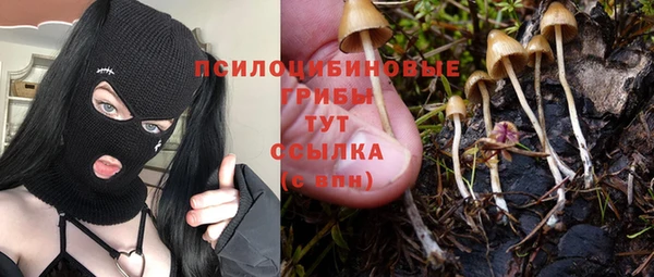 скорость Алексеевка